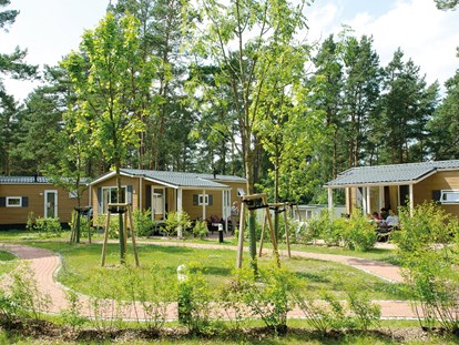 Luxury camping - Terrasse - Seenplatte - Camping- und Ferienpark Havelberge Mobilheim am Camping- und Ferienpark Havelberge