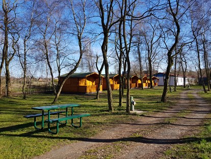 Luxury camping - Parkplatz bei Unterkunft - Mecklenburg-Western Pomerania - Campingpl. NATURCAMP Pruchten Blockhütten