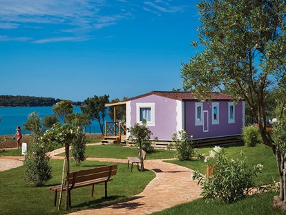 Luxuscamping - Dusche - Novigrad - Campingplatz Aminess Sirena - Meinmobilheim Sirena Premium auf dem Campingplatz Aminess Sirena