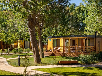 Luxuscamping - Rab - San Marino Camping Resort - Meinmobilheim Lopar Garden Premium auf dem San Marino Camping Resort