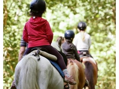 Luxuscamping - Preisniveau: günstig - Frankreich - Reitschule mit Pferden und Ponys, Camping Séquoia Parc - Séquoia Parc Cottage Safari 4 auf Séquoia Parc