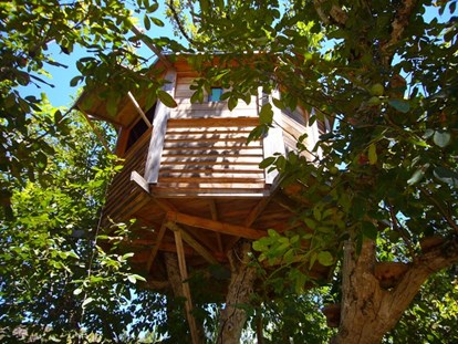 Luxuscamping - Art der Unterkunft: Baumhaus - Bildquelle: http://walnut-tree-farm.com/treehouse/ - The Walnut Tree Farm The Walnut Tree Farm Treehouse