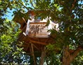 Glampingunterkunft: Bildquelle: http://walnut-tree-farm.com/treehouse/ - The Walnut Tree Farm Treehouse