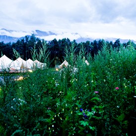 Glamping: Glampingzelte eingebettet in die unberührte Natur - Camping Gerhardhof