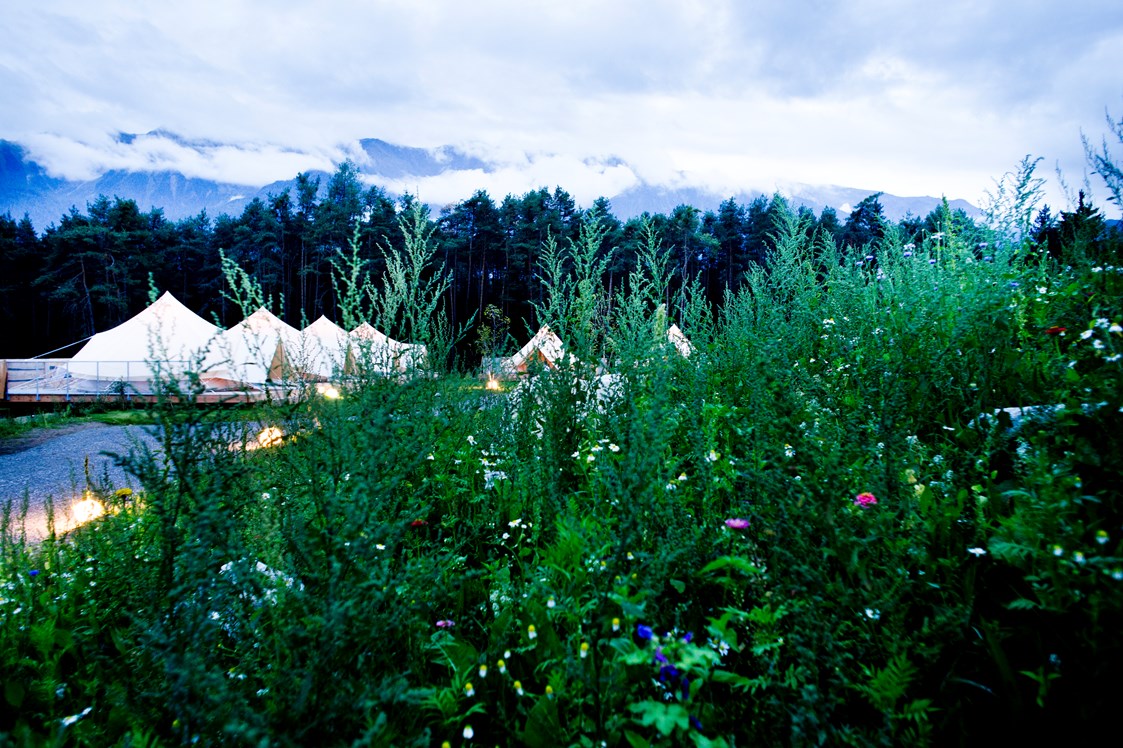 Glamping: Glampingzelte eingebettet in die unberührte Natur - Camping Gerhardhof