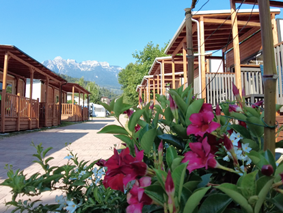 Luxuscamping - Trentino-Südtirol - Camping Penisola Verde - Mobile Homes - Camping Penisola Verde