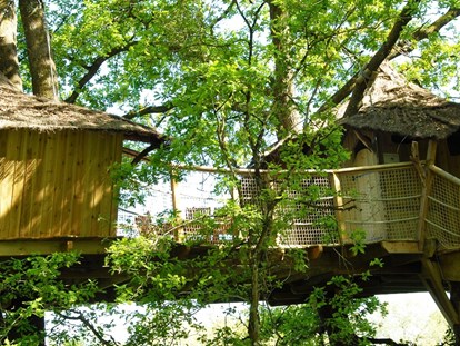Luxury camping - WC - Loiret - Familienbaumhaus für 6 Personen von außen - Domaine des Alicourts Familienbaumhaus für 6 Personen auf Domaine des Alicourts