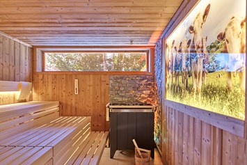 Glampingunterkunft: Die finnische Sauna in unserer Thermal-Vital-Oase. - Bungalows auf Kur- und Feriencamping Holmernhof Dreiquellenbad