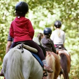 Glampingunterkunft: Reitschule mit Pferden und Ponys, Camping Séquoia Parc - Cottage Safari 4 auf Séquoia Parc