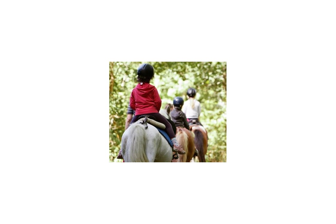 Glampingunterkunft: Reitschule mit Pferden und Ponys, Camping Séquoia Parc - Chalet VIP Bali 4/5 auf Séquoia Parc
