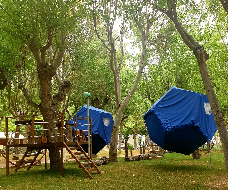 Tree Tent Syrah