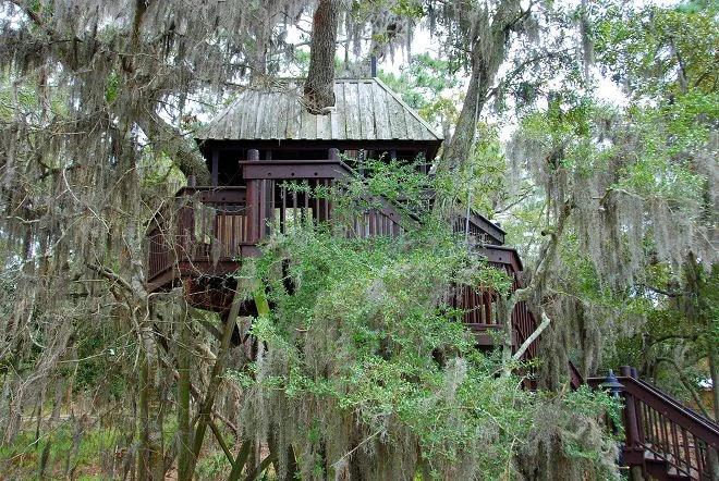 Treehouses are also glamping