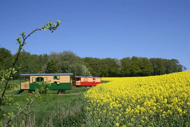 I carri del circo a Ur Laub`s