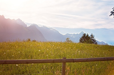 Glamping in Österreich