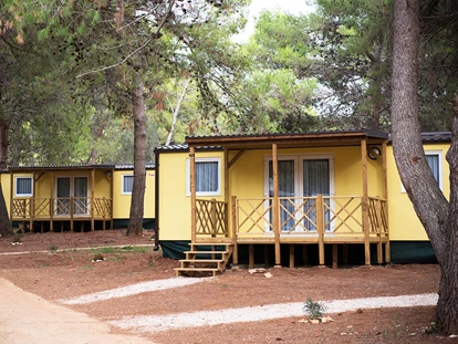 Luxury camping - TV - Croatia - Campingplatz Pineta - Meinmobilheim Vanga auf dem Campingplatz Pineta