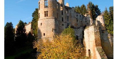 Luxuscamping - Mullerthal - Chateau Beafort. - Camping Neumuehle Muellerthal Eekhoorn, MobilHeim, Muellerthal, Luxemburg 6 Person, Douche, Wc.
