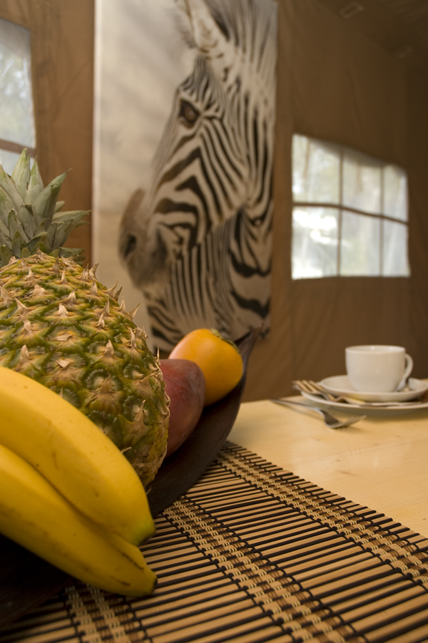 Luxuscamping: Innenansicht Safarizelt "Zebra". - Camping Park Gohren: Safarizelte Camping Park Gohren
