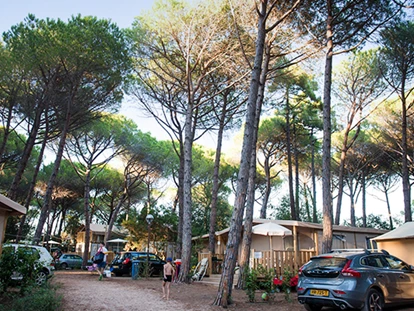 Luxury camping - Kochmöglichkeit - Mittelmeer - Camping Etruria - Vacanceselect Lodgezelt Deluxe 5/6 Personen 2 Zimmer Badezimmer von Vacanceselect auf Camping Etruria