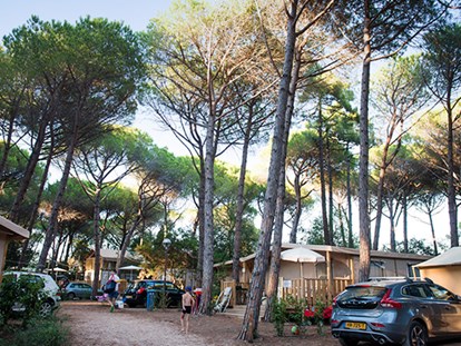 Luxury camping - Terrasse - Lucca - Pisa - Camping Etruria - Vacanceselect Lodgezelt Deluxe 5/6 Personen 2 Zimmer Badezimmer von Vacanceselect auf Camping Etruria
