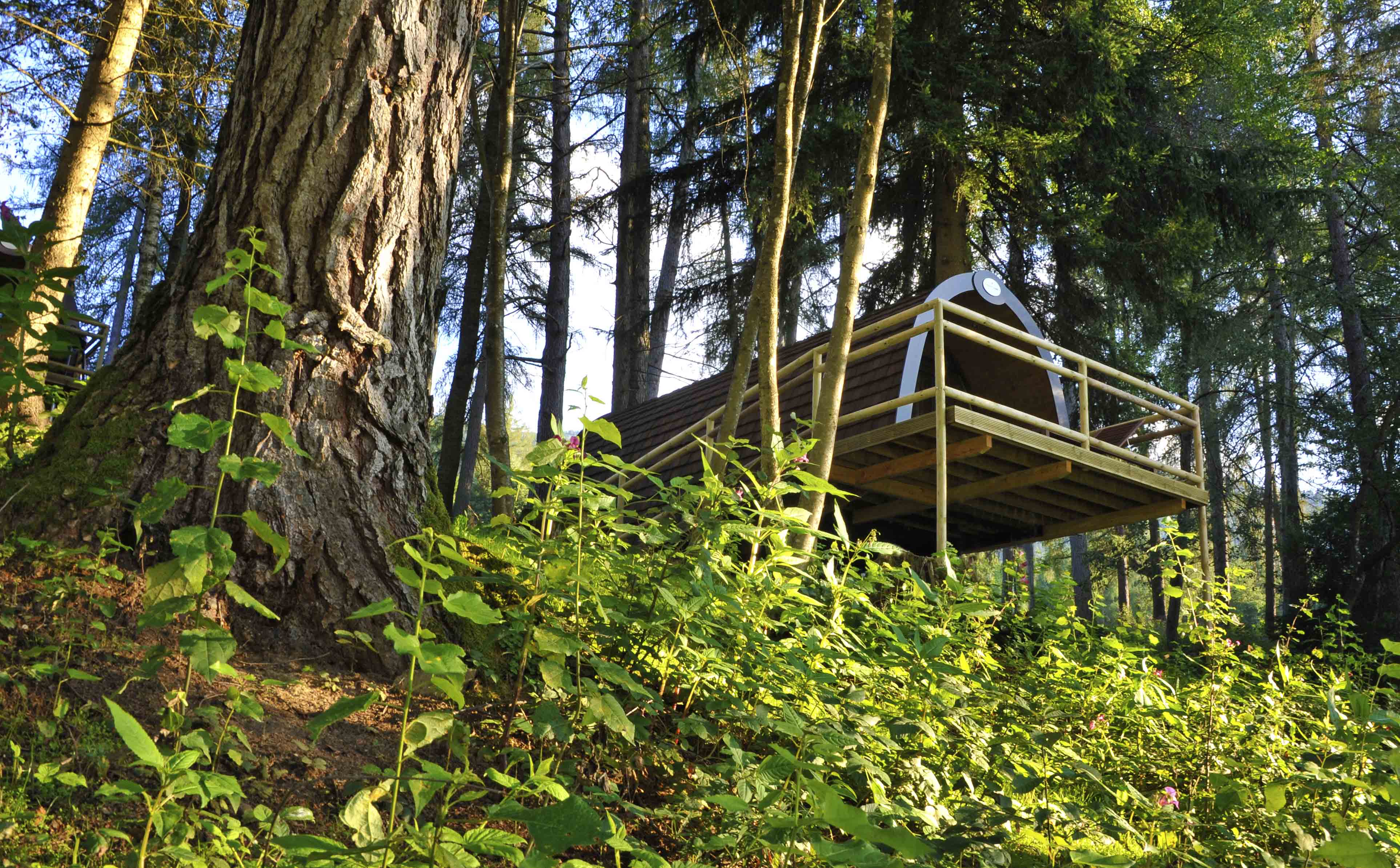 Luxuscamping: Panorama Wood-Lodge - Nature Resort Natterer See: Wood-Lodges am Nature Resort Natterer See