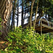 Glampingunterkunft: Panorama Wood-Lodge - Nature Resort Natterer See: Wood-Lodges am Nature Resort Natterer See