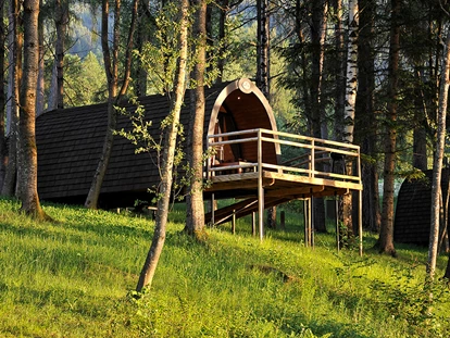 Luxury camping - Kochmöglichkeit - Austria - Panorama Wood-Lodge - Nature Resort Natterer See Wood-Lodges am Nature Resort Natterer See