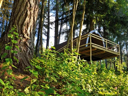 Luxury camping - Kochutensilien - Austria - Panorama Wood-Lodge - Nature Resort Natterer See Wood-Lodges am Nature Resort Natterer See