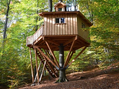 Luxuscamping - Art der Unterkunft: Baumhaus - Baumhaus Kobel, ein echtes Baumhaus für Romantiker. - Baumhaushotel Solling Baumhaushotel Solling