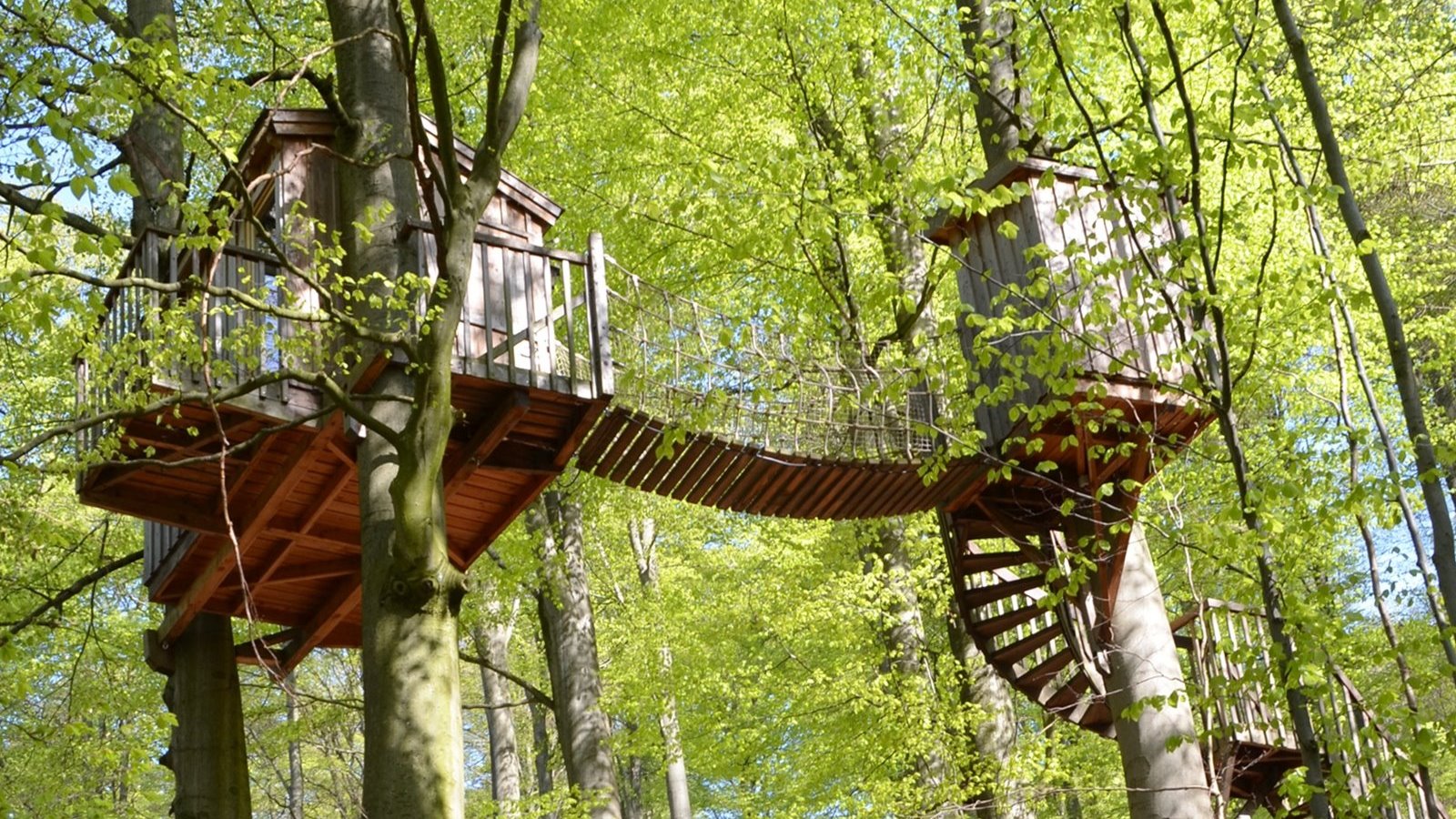 Glampingunterkunft - Baumhaus Baumtraum in sieben Metern Höhe. - Baumhäuser & Baumzelte