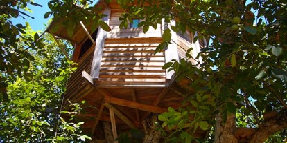 Luxuscamping - Art der Unterkunft: Baumhaus - Bildquelle: http://walnut-tree-farm.com/treehouse/ - The Walnut Tree Farm The Walnut Tree Farm Treehouse