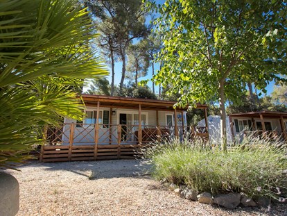 Luxuscamping - Unterkunft alleinstehend - Zadar - Šibenik - Camping Park Soline Mobilheim Shelbox Tavolara auf Camping Park Soline