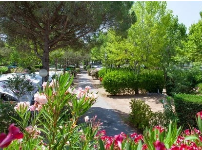 Luxuscamping - Gartenmöbel - Mittelmeer - Douce Quiétude Mobilhome 3 CHAMBRES ZEN auf Douce Quiétude