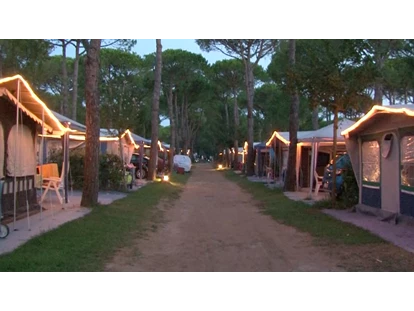 Luxury camping - Dusche - Venedig - WMC-Strasse Abenddämmerung - camping-in-venedig.de -WMC BUSCHMANN wohnen-mieten-campen at Union Lido Deluxe Caravan mit Einzelbett / Dusche