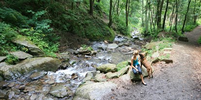 Luxuscamping - WC - Wanderweg zum Wasserfall - Camping Brunner am See Chalets auf Camping Brunner am See