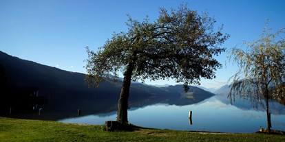 Luxuscamping - Gartenmöbel - Camping Brunner am See Chalets auf Camping Brunner am See