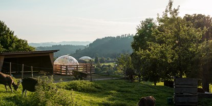 Luxuscamping - Gartenmöbel - Schweiz - Lebenshof im Emmental Adventurly Bubble-Suite auf Lebenshof im Emmental