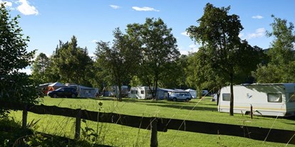 Luxuscamping - Art der Unterkunft: Baumhaus - Camping Reichmann Mietwohnwagen auf Camping Reichmann