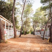 Glamping accommodation - Luxusmobilheim von Gebetsroither am Camping Baia Domizia