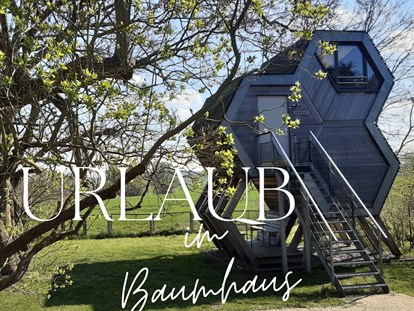 Luxury camping - Art der Unterkunft: Baumhaus - Region Schwerin - Bild - Grüne Wiek Wabenhausherberge Grüne Wiek Wabenhausherberge
