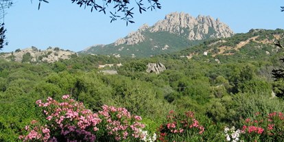 Luxuscamping - San Pantaleo - auf dem privaten Grundstück - Königszelt in Sardinien