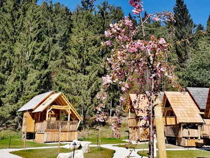 Luxury camping - Massagen - Carniola / Julian Alps / Laibach / Zasavje - Bike Village - Glamping Bike Village Ribno