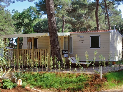 Luxury camping - Fahrradverleih - Adria - Mobilheim SunLodge Sequoia  - Camping Bijela Uvala - Suncamp