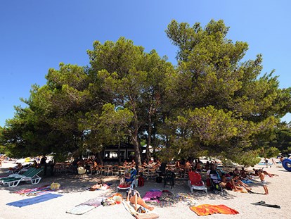 Luxury camping - barrierefreier Zugang ins Wasser - Dalmatia - Zaton Holiday Resort - Gebetsroither