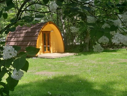 Luxury camping - Bademöglichkeit für Hunde - Germany - Naturcamping Malchow