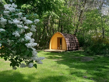 Luxury camping - Spielplatz - Vorpommern - Naturcamping Malchow