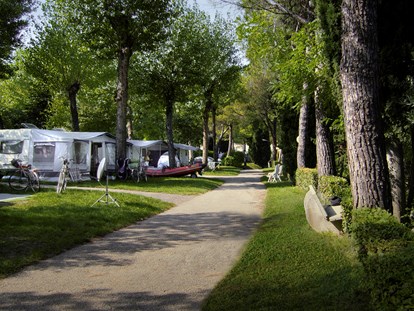 Luxuscamping - Kategorie der Anlage: 5 - Gardasee - Verona - Glamping auf Camping Bella Italia - Camping Bella Italia - Suncamp