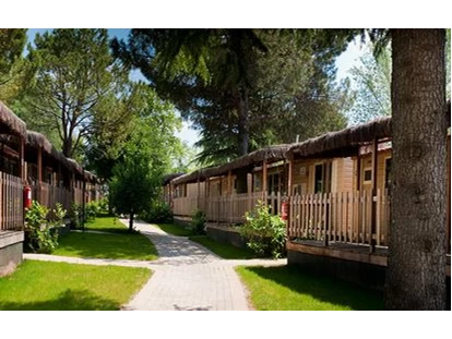Luxury camping - Kategorie der Anlage: 4 - Veneto - Glamping auf Camping Family Park Altomincio - Camping Family Park Altomincio - Suncamp