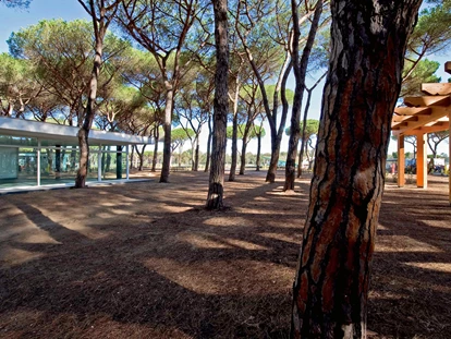 Luxury camping - Restaurant - Italy - Camping Village Roma Capitol - Suncamp