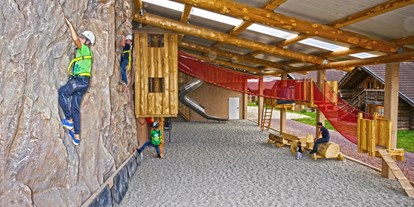 Luxuscamping - Wasserrutsche - Neu ab 2014 überdachte Kletterwand mit vollautomatischem Klettergurt für große Kinder und Jugendliche und gleich daneben ein Kletterparcour mit Hängebrücken und Röhrenrutsche. - Schwarzwälder Hof