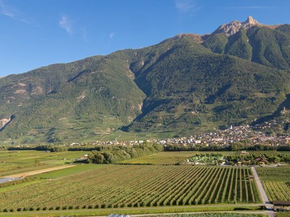Luxury camping - Restaurant - Valais - Eingebettet in Obstplantagen und Natur - Camping de la Sarvaz